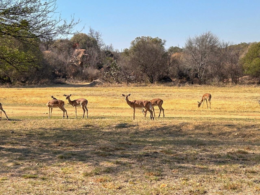 0 Bedroom Property for Sale in Potchefstroom Rural North West